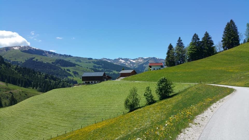 Haus Am Sonnberg Villa Maria Alm am Steinernen Meer Luaran gambar